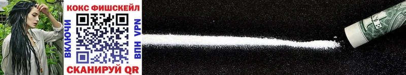 Cocaine FishScale  как найти закладки  Луга 