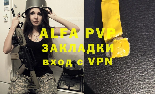 крисы Алзамай