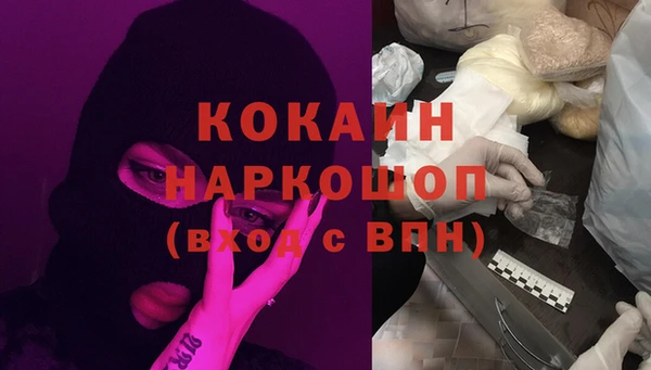 крисы Алзамай
