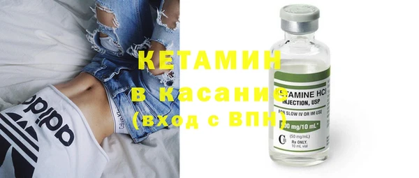 шишки Саяногорск