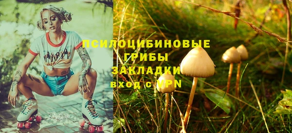 меф Алексин