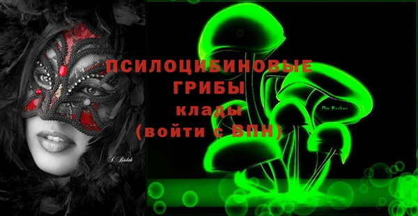 крисы Алзамай