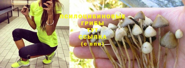 спайс Алексеевка