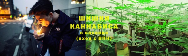 крисы Алзамай