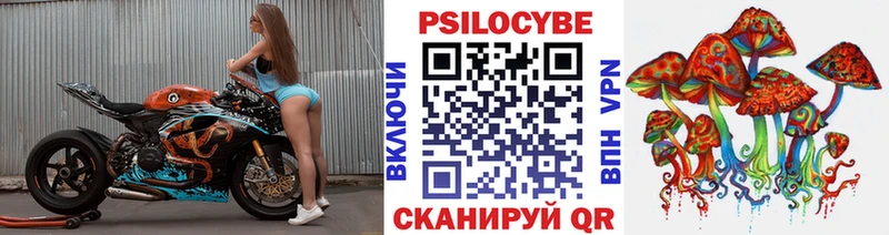 Галлюциногенные грибы прущие грибы  Луга 