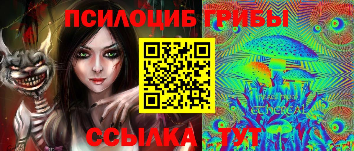 Псилоцибиновые грибы Cubensis Луга