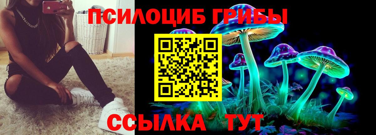 Псилоцибиновые грибы Psilocybine cubensis  Вход с VPN  цены наркотик  Луга 